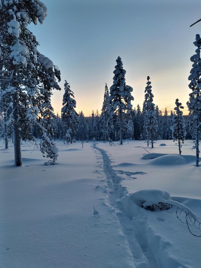 Villanorva Saarenkylä Екстериор снимка