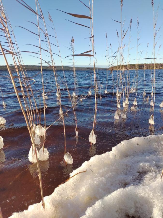 Villanorva Saarenkylä Екстериор снимка