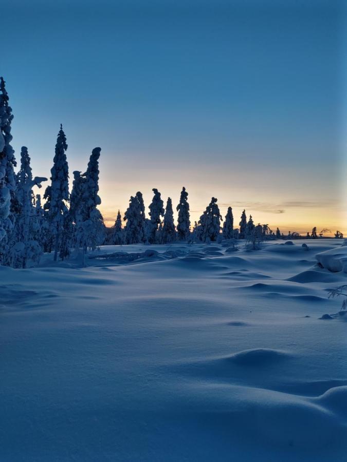 Villanorva Saarenkylä Екстериор снимка